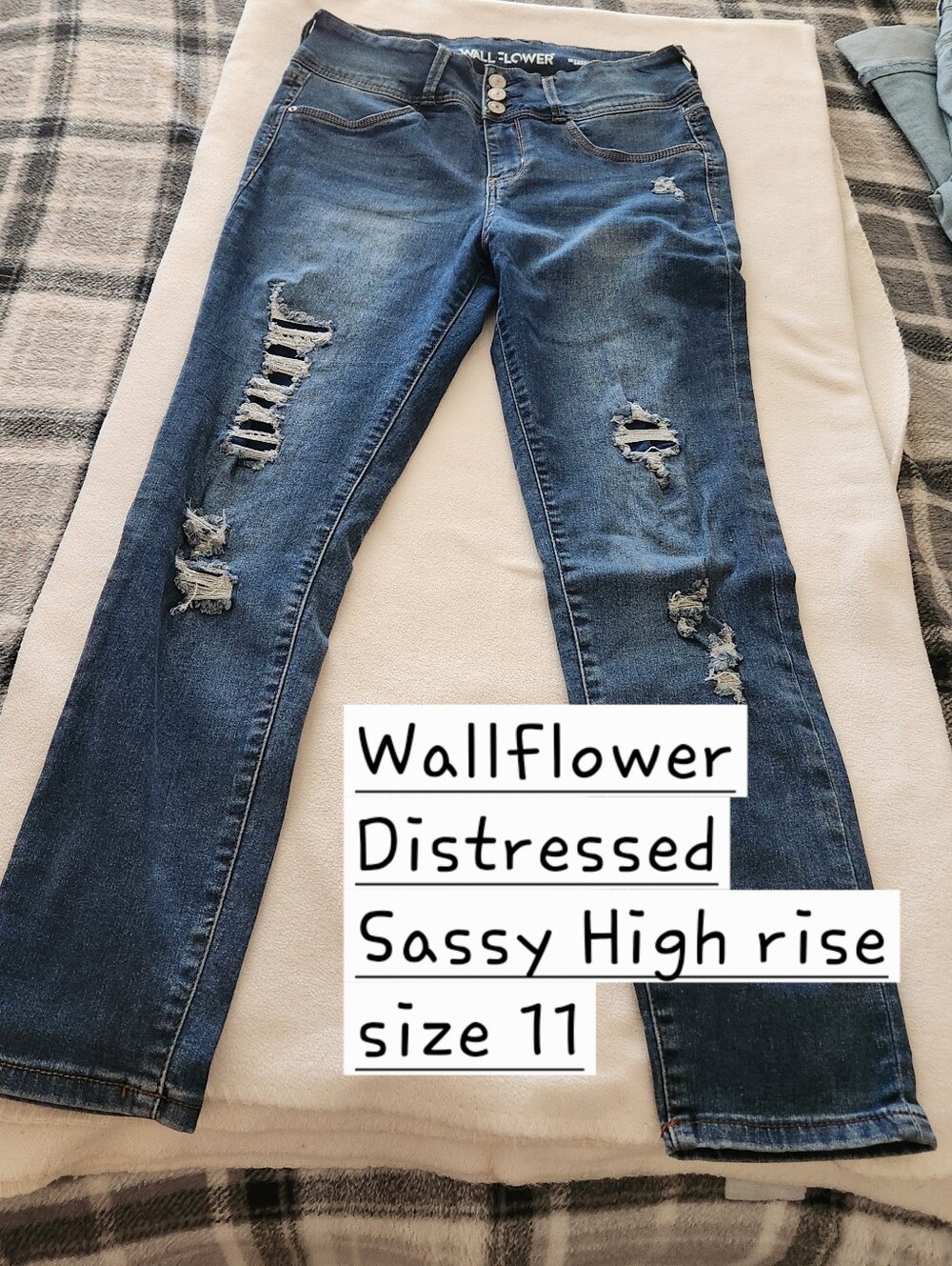 Wallflower Distressed size 11